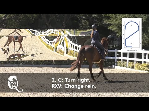 TQRI Debi Van Wyk  - Prelim Dressage Test 2 A