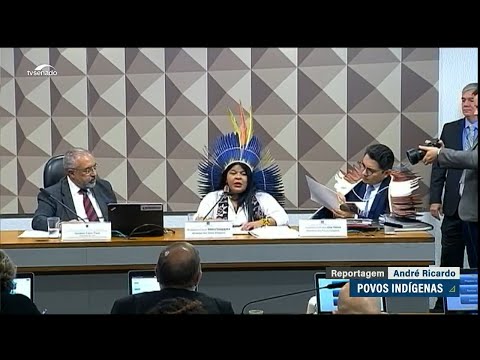 Povos indígenas: ministra destaca ações da pasta e medidas para crise ianomâmi