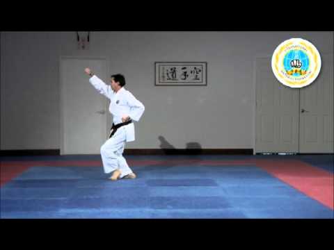 Kihon Kata Ni - International Hayashi-Ha Shito-Ryu