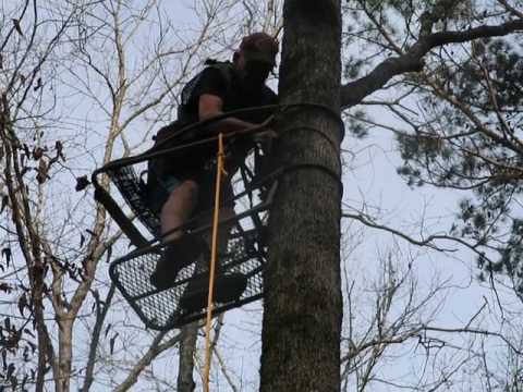 Squirrel House Installation