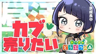 【あつまれどうぶつの森】カブだとか、為替だとか、ローンだとか【長尾景/にじさんじ】