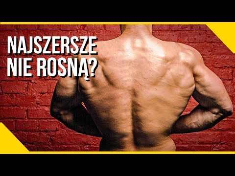 Periodyzację kulturystyki fali Periodyzacji Wykaz nazwisk wszystkich mięśni