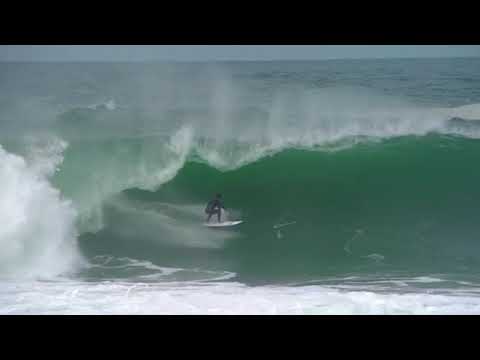 Onda 2 - Pedro Calado