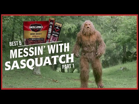 Messin with Sasquatch Part 1 - 5 of the best and funniest commercials of the Jack Links series