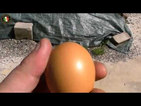 Real Egg by Gianfranco Ermini & Stratomagic - www.MJMMagic.com