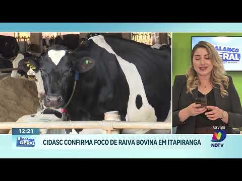 Raiva bovina é confirmada em Itapiranga e acende alerta sanitário