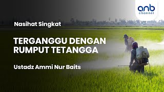 Download lagu TERGANGGU DENGAN RUMPUT TETANGGA | Ustadz Ammi Nur Baits mp3 Download lagu TERGANGGU DENGAN RUMPUT TETANGGA | Ustadz Ammi Nur Baits mp3