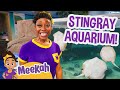 Meekah Makes Animal Friends At The Stingray Aquarium Meekah Full Episodes