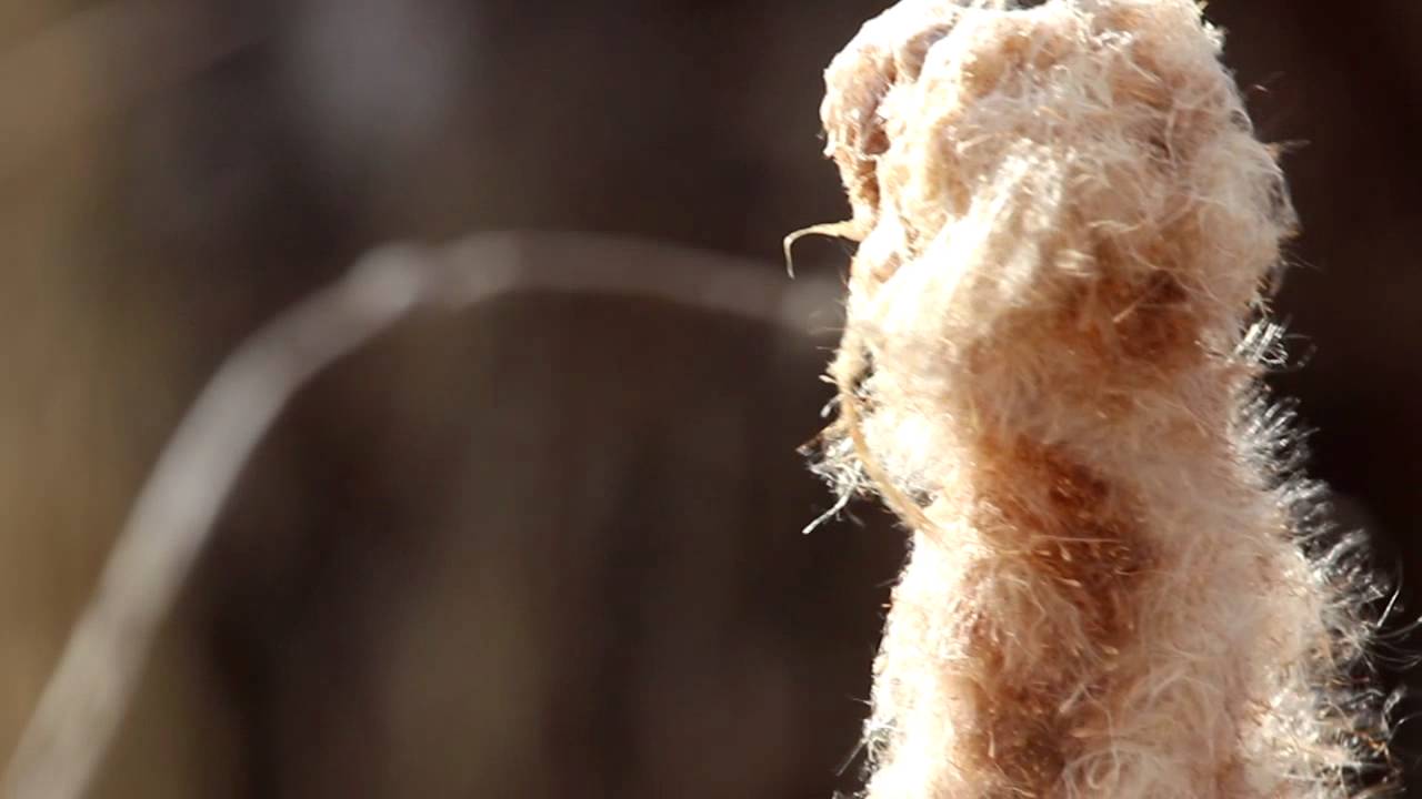 Video: MVI 0473 hyperlapse 2x std