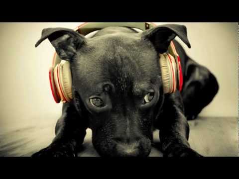 Techno Remix of Dog Barking