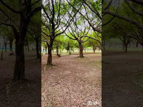 台北磁場好的地方