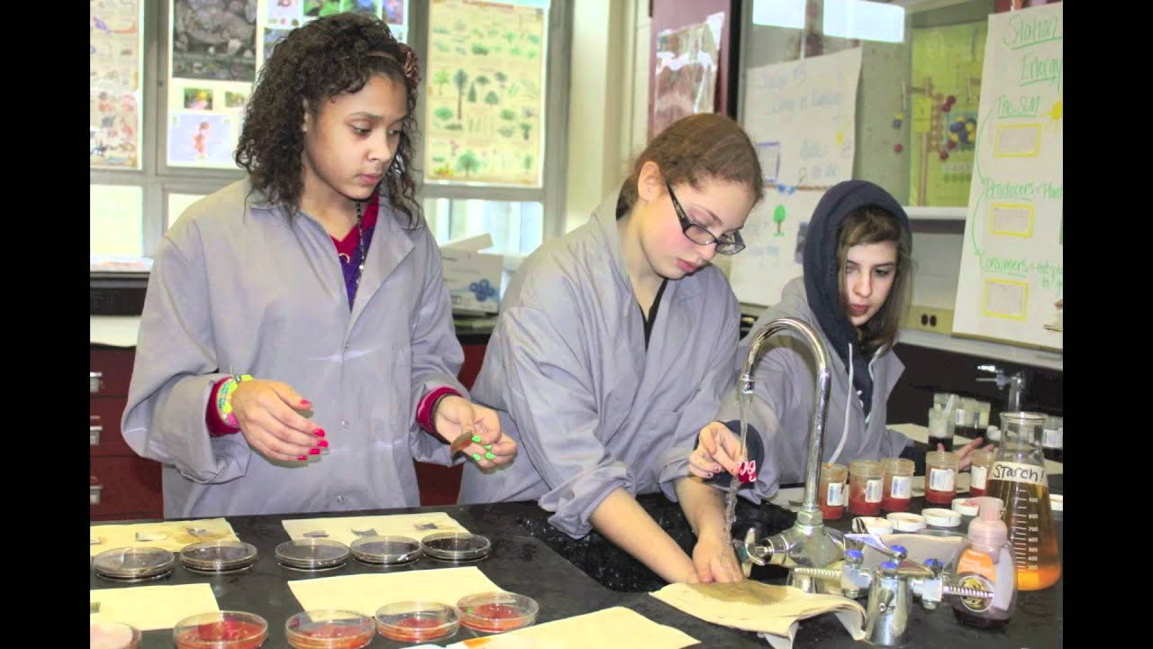 BPA and Our Bodies.mov