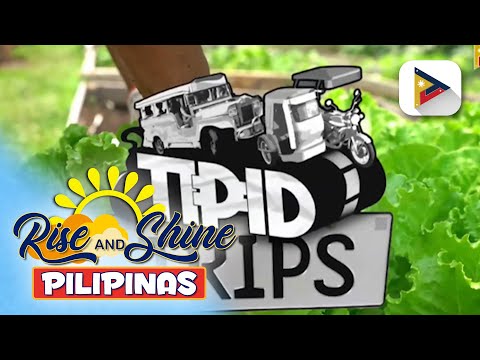 Tipid Trips Bukid sa BGC