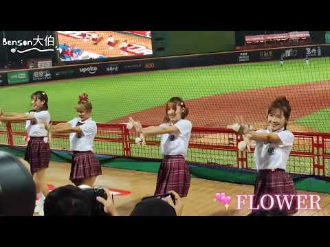 2023年9月19日 學生之夜 味全龍 小龍女 三振他 中場舞 Flower WeiChuan Dragons Dragon Beauties Taiwan Cheer girls 台湾チア