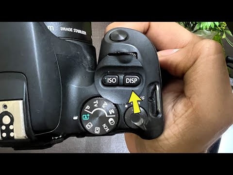 DSLR Camera me DISP kya hota hai | What is DISP button in Canon Camera