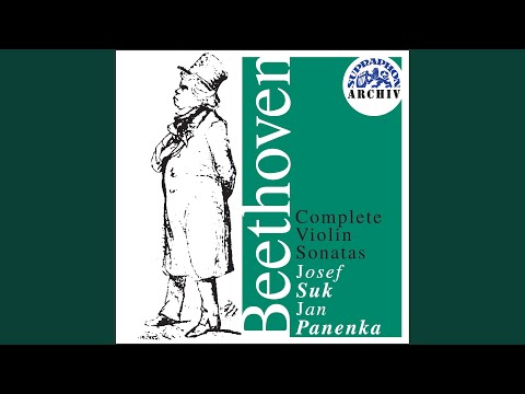 Sonata for Violin and Piano No. 1 in D major, Op 12 No. 1 - Thema con variazioni. Andante con...