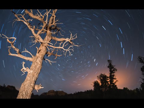 Advanced Selections and Layer Masking in Photoshop