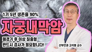 자궁내막암 치료