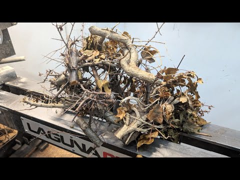 Woodturning - From Garden Waste to Luxury Lamp