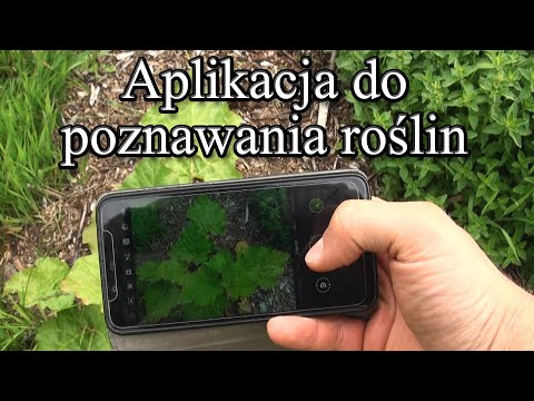 Ogrodowe pierdamony 61 - aplikacja do poznawania roślin