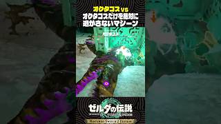 オクタコスvsオクタコスだけを絶対に逃がさないマシーン【ゼルダの伝説 ティアキン】