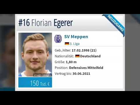 SV Meppen Neuzugänge im Portrait