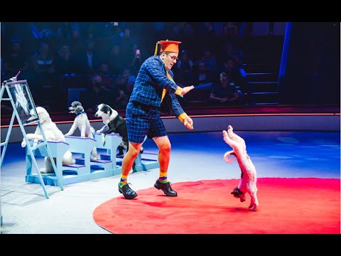 ERMAKOV - ACADÉMIE DES CHIENS. Cirque d'Hiver Bouglione  Paris 2024