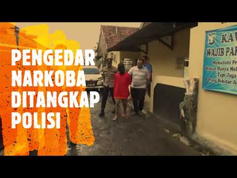 PENGEDAR NARKOBA DITANGKAP POLISI