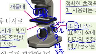 [초등과학 5-1 무료강의] 5. 다양한 생물과 우리 생활 ① 실체 현미경과 광학 현미경 사용법 알아보기