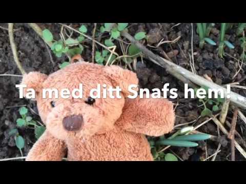 Ingenting försvinner -allt finns kvar