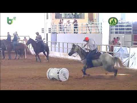 ANTT Barrel Show 2020 - Quinta Feira Parte 1