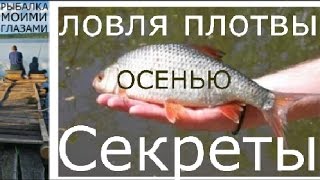 Насадка для ловли плотвы в ноябре