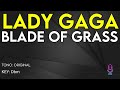Lady Gaga - Blade Of Grass - Karaoke Instrumental