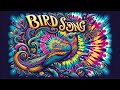 Grateful Dead - Bird Song