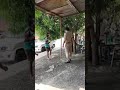 Truck Driver Angry On Police Angry Truck Driver SardarJi
