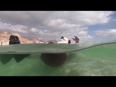 游泳的聖誕老人給死海帶來了活力 (Swimming Santa brings Dead Sea to life)