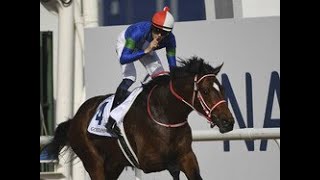 バスラットレオン夏の欧州マイル戦線へ 矢作師「サセックスSを中心に検討中」|Top News