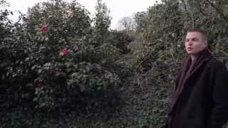 Young Guv - Aquarian