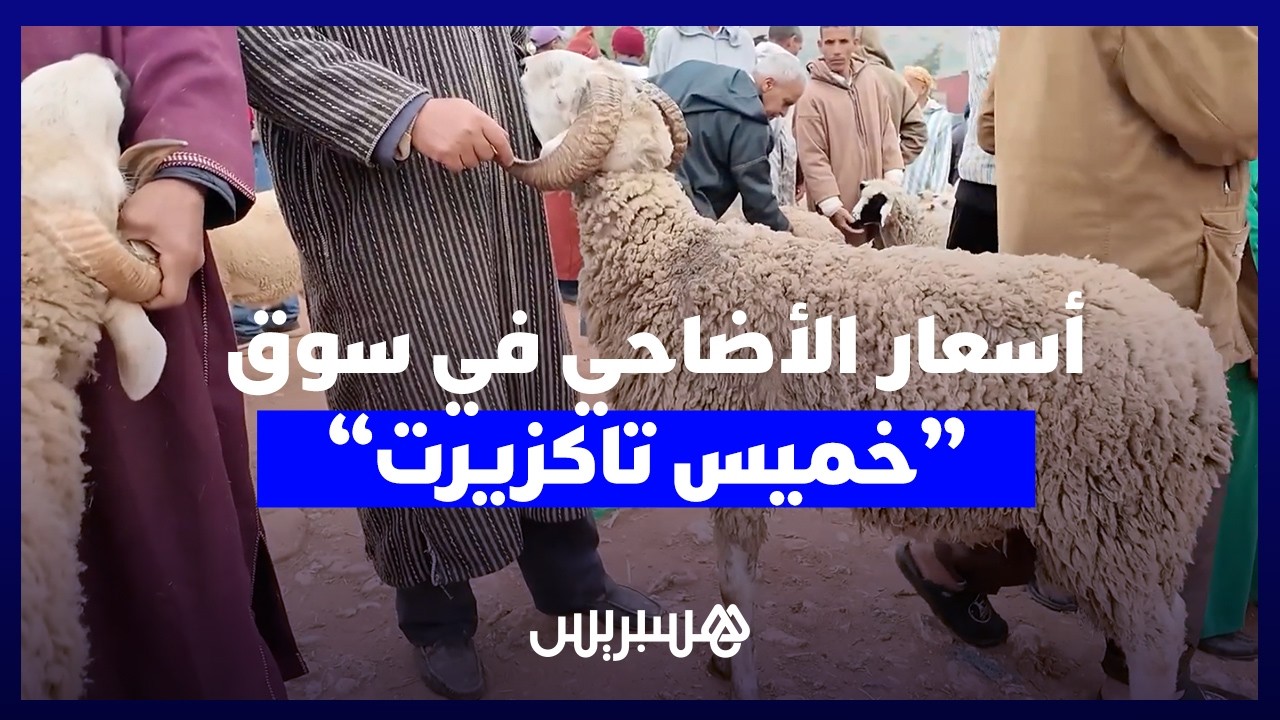 من "خميس تاكزيرت".. أسعار الأضاحي تبدأ في التراجع وكسابة يتوقعون "رخاءً" في آخر الأيام قبل العيد. thumbnail