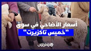 من "خميس تاكزيرت".. أسعار الأضاحي تبدأ في التراجع وكسابة يتوقعون "رخاءً" في آخر الأيام قبل العيد. thumbnail