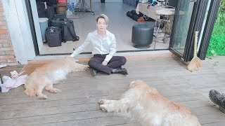 BTS WITH ANIMALS - BTS Funny Moments / suna