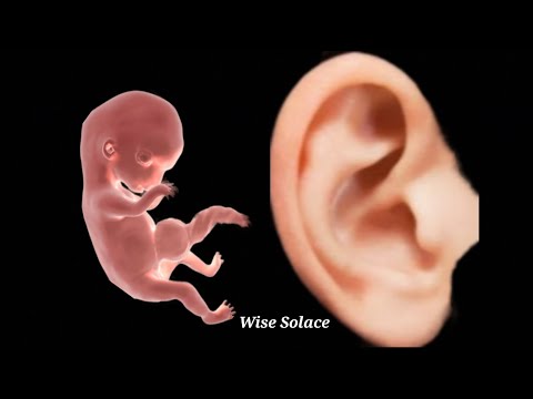 The Wisest Man Alive Explains... Sound & 3rd Eye Lies