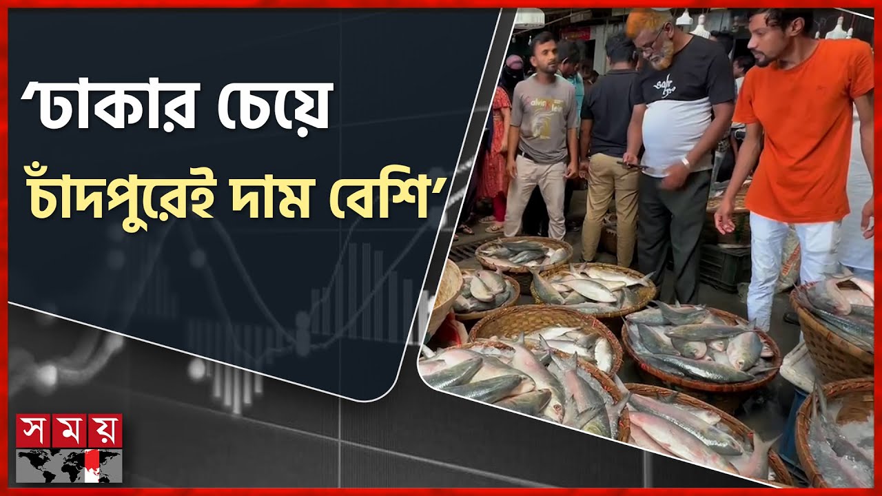 ইলিশ কিনতে চাঁদপুর গিয়ে হতাশ ক্রেতারা | Chandpur Ilish | Hilsa | Somoy TV