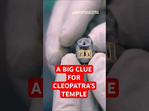 Tiny Artifact Solved a 2,000-Year Cleopatra Mystery