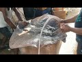 56 Kg Shankar Fish video |  Shankar Fish in Bengaliशंकुश मछली |Thriukkai Fish | Batoidea & Ray Fish