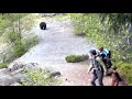 Utah Family Followed By Bear In B C Caught On Cam