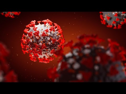 Saturday morning COVID-19 pandemic headlines