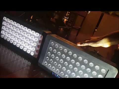 Mars Aqua vs Generic Black Box LED