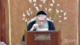 הרה"ג הרב וועכטר שליט"א י"ד אייר תשפ"ד - מאמר הרבי הרש"ב ד"ה מושכני אחריך נרוצה חלק א (הרב אברהם מנחם מענדל וכטר) - התמונה מוצגת ישירות מתוך אתר האינטרנט יוטיוב. זכויות היוצרים בתמונה שייכות ליוצרה. קישור קרדיט למקור התוכן נמצא בתוך דף הסרטון