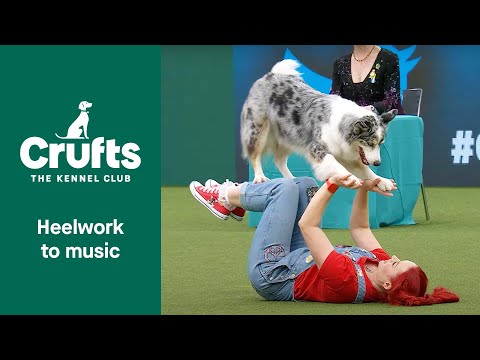 Freestyle International Heelwork to Music Competition - Part 3 | Crufts 2022